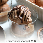 chocolate coconut milk ice cream pin