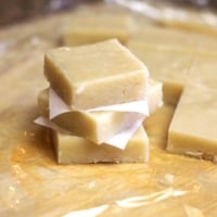 Raw macadamia nut fudge squares