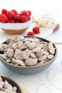 healthy puppy chow in a gray bowl with spoon