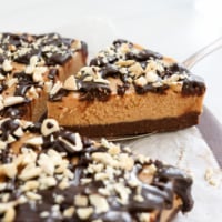 vegan peanut butter pie slice lifted from pie